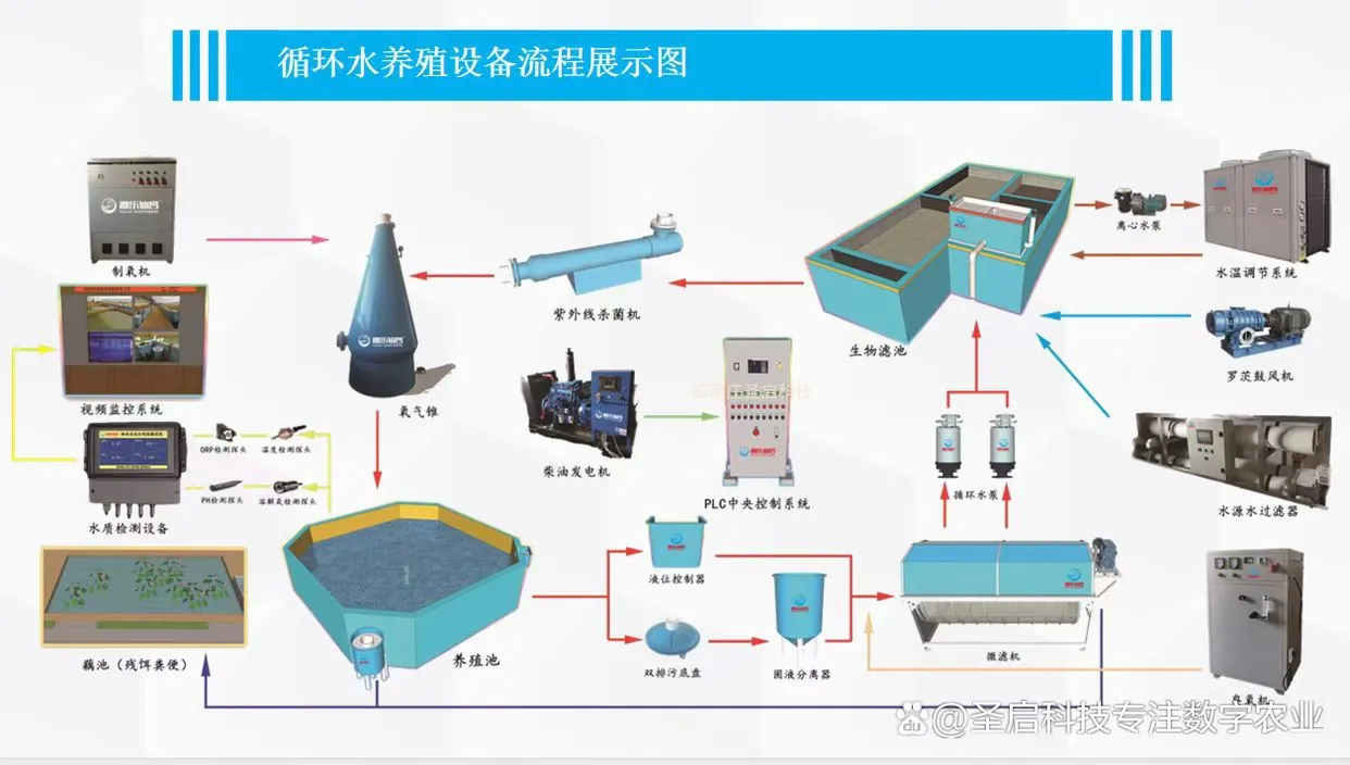 循环水养殖完整工艺流程框图